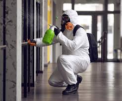 Why You Should Choose Our Mold Remediation Services in Southlake, TX